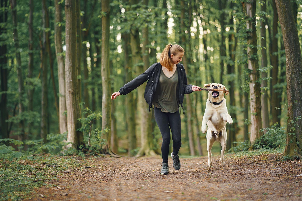 De mooiste losloopgebieden in de provincie Gelderland | Vrouw met hond in het bos