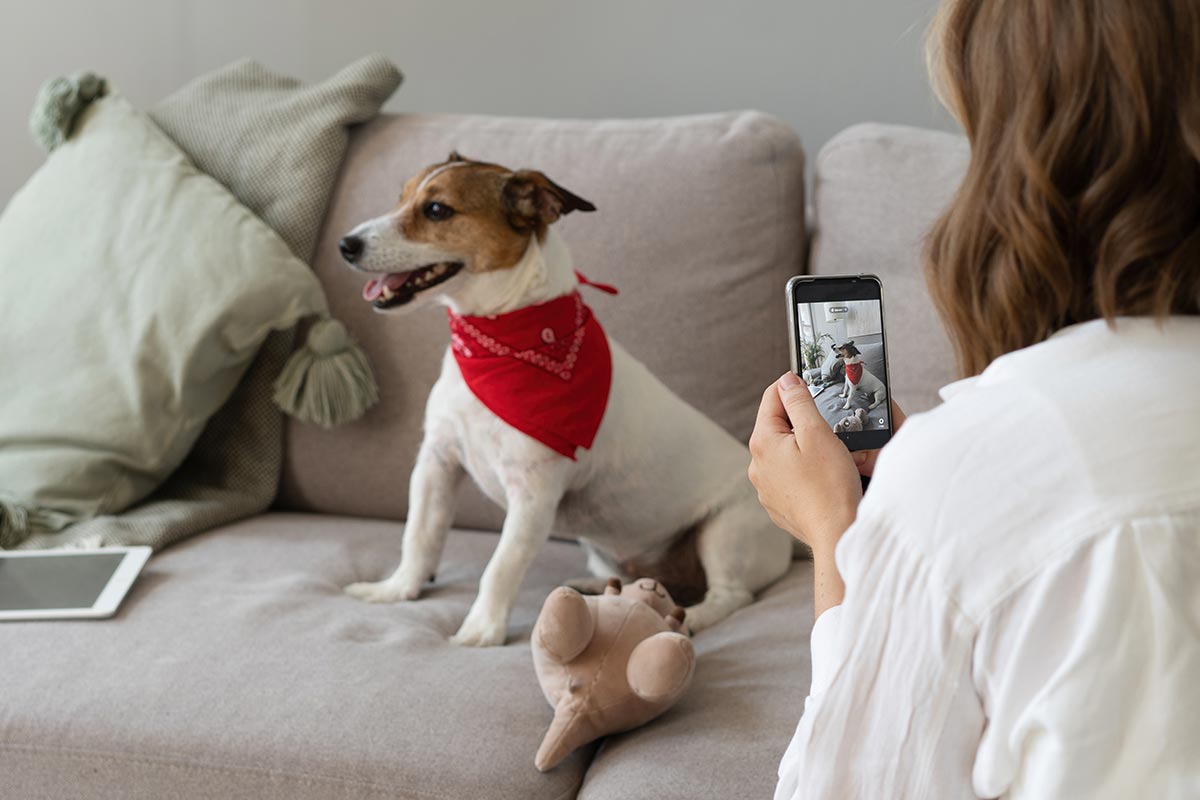 5 Tips voor het Instagram account van je hond! Vrouw fotografeert hond
